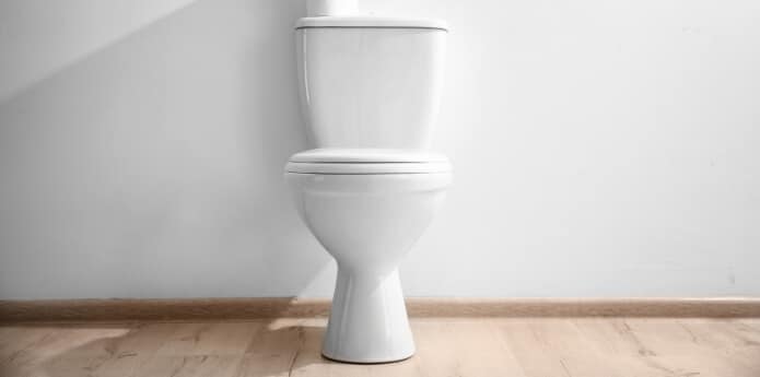 Flush toilet