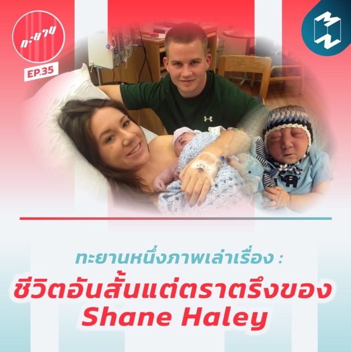 Shane-Haley
