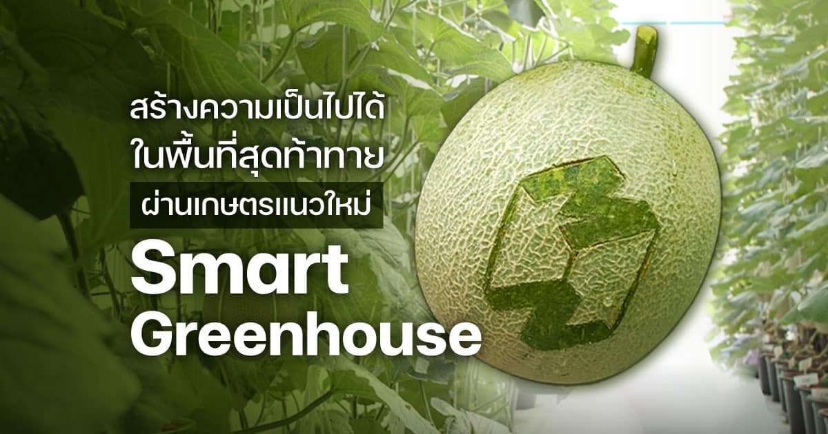 สร้างความเป็นไปได้ ในพื้นที่สุดท้าทาย ผ่านเกษตรแนวใหม่ “Smart Greenhouse”